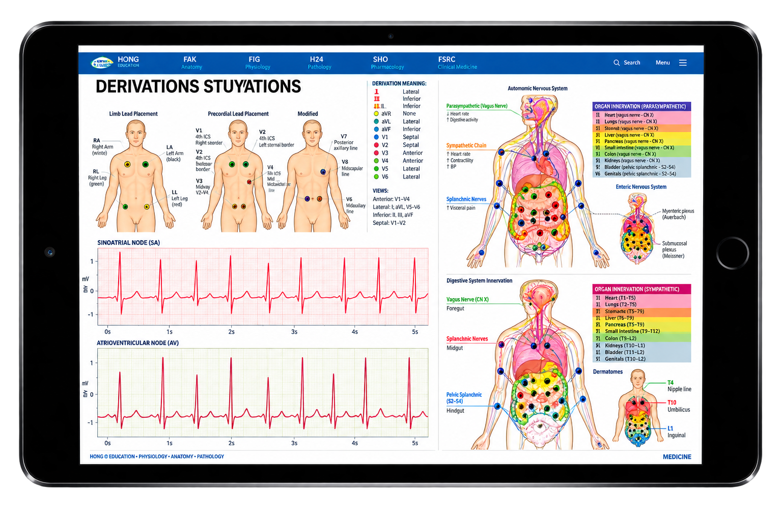 Vista previa del material de ECG en tablet